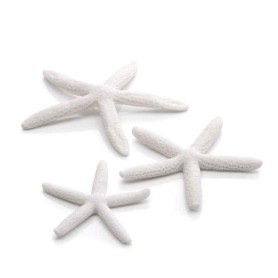Морские звезды 3шт. белые (Starfish set 3 white)