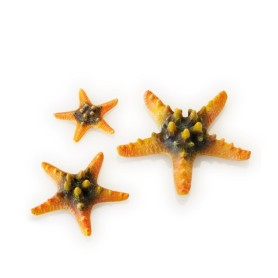 Желтые морские звезды 3 шт. (Starfish set 3 yellow)