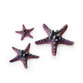 Розовые морские звезды 3 шт. (Starfish set 3 pink)