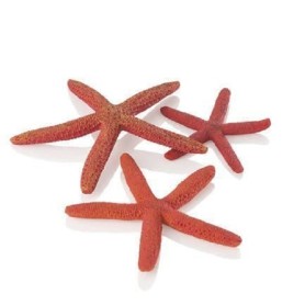 Морские звезды 3шт. красные (Starfish set 3 red)