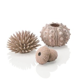 Набор морских ежей бежевый (Sea urchins set natural)