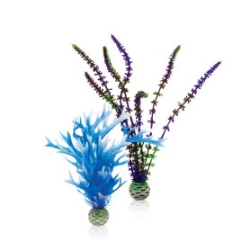 Растения голубое и фиолетовое средние (Plant set medium blue & purple)
