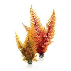 Комплект Осенний папоротник (Aquatic autumn fern set 2)