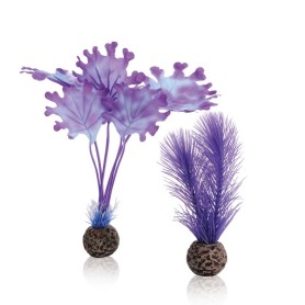 Фиолетовые водоросли низкие (Kelp set small purple)