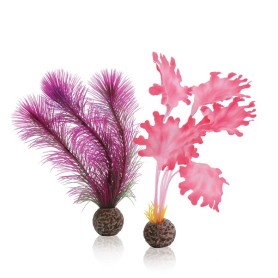 Малая розовая ламинария (Kelp set small pink)