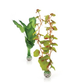 Шелковые растения зеленые средние (Silk plant set medium green)