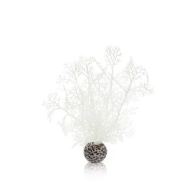 Белый морской веер малый (Sea fan small white)