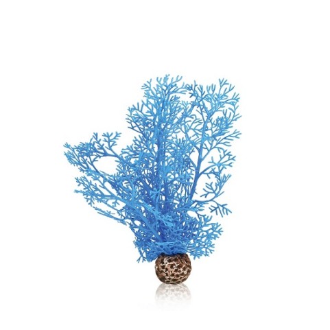 Синий морской веер малый (Sea fan small blue)