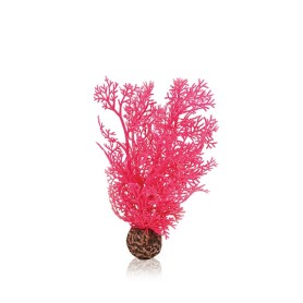Розовый морской веер малый (Sea fan small pink)