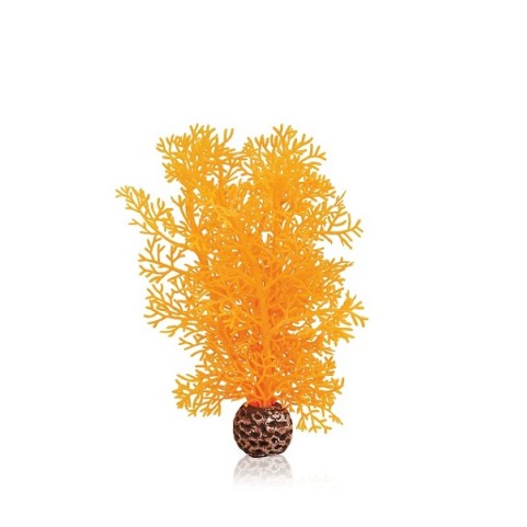 Оранжевый морской веер малый (Sea fan small orange)