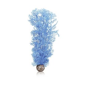 Синий морской веер средний (Sea fan medium blue)