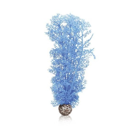 Синий морской веер средний (Sea fan medium blue)