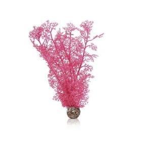 Розовый морской веер средний (Sea fan medium pink)