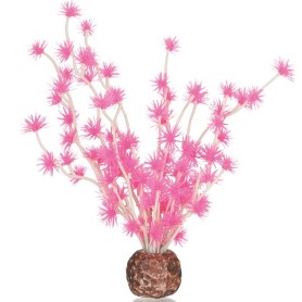 Бонсай розовый (Bonsai ball pink)