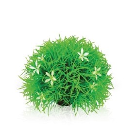 Цветочный шар с маргаритками (Topiary ball with daisies)
