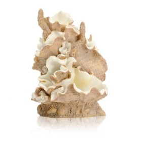 Раковина моллюска средняя (Clamshell ornament medium)