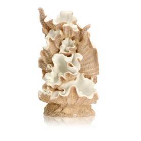 Раковина моллюска большая (Clamshell ornament large)