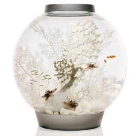 Коралл веер белый средний (Fan coral ornament medium white)