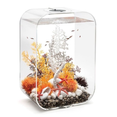 Коралл веер белый (Fan coral ornament white)