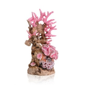 Риф розовый (Reef ornament pink)