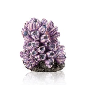 Скопление морских желудей (Barnacle cluster ornament)
