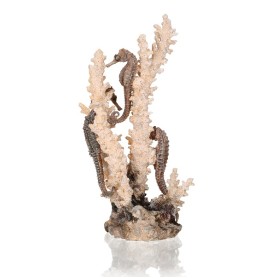 Коралл с морскими коньками средний (Seahorses on coral natural medium)