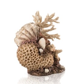 Коралловые ракушки (Coral-shells ornament neutral)