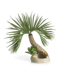Малая пальма (Palm tree small)
