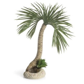 Большая пальма (Palm tree large)