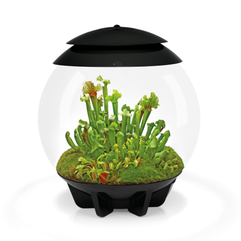 Флорариум biOrb AIR 30 Black NEW черный