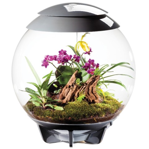 Флорариум biOrb AIR 60 grey серый