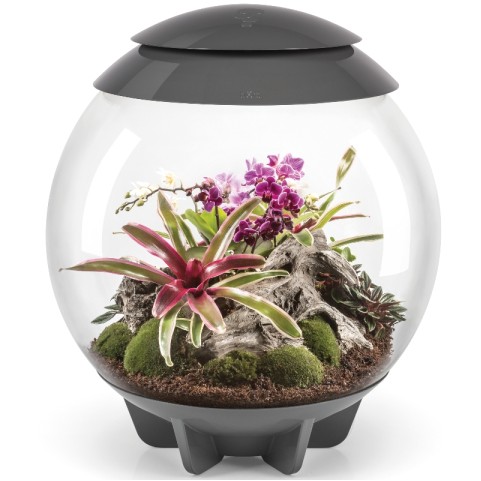 Флорариум biOrb AIR 60 grey серый
