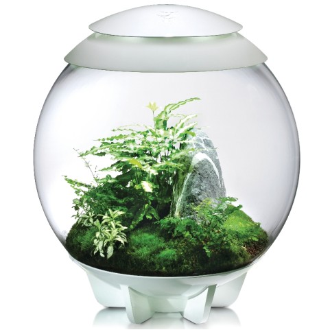 Флорариум biOrb AIR 60 white белый